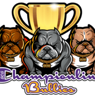 Championlinebullies