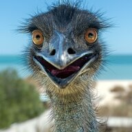 emu